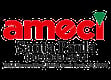 Ameci Pizza Kitchen